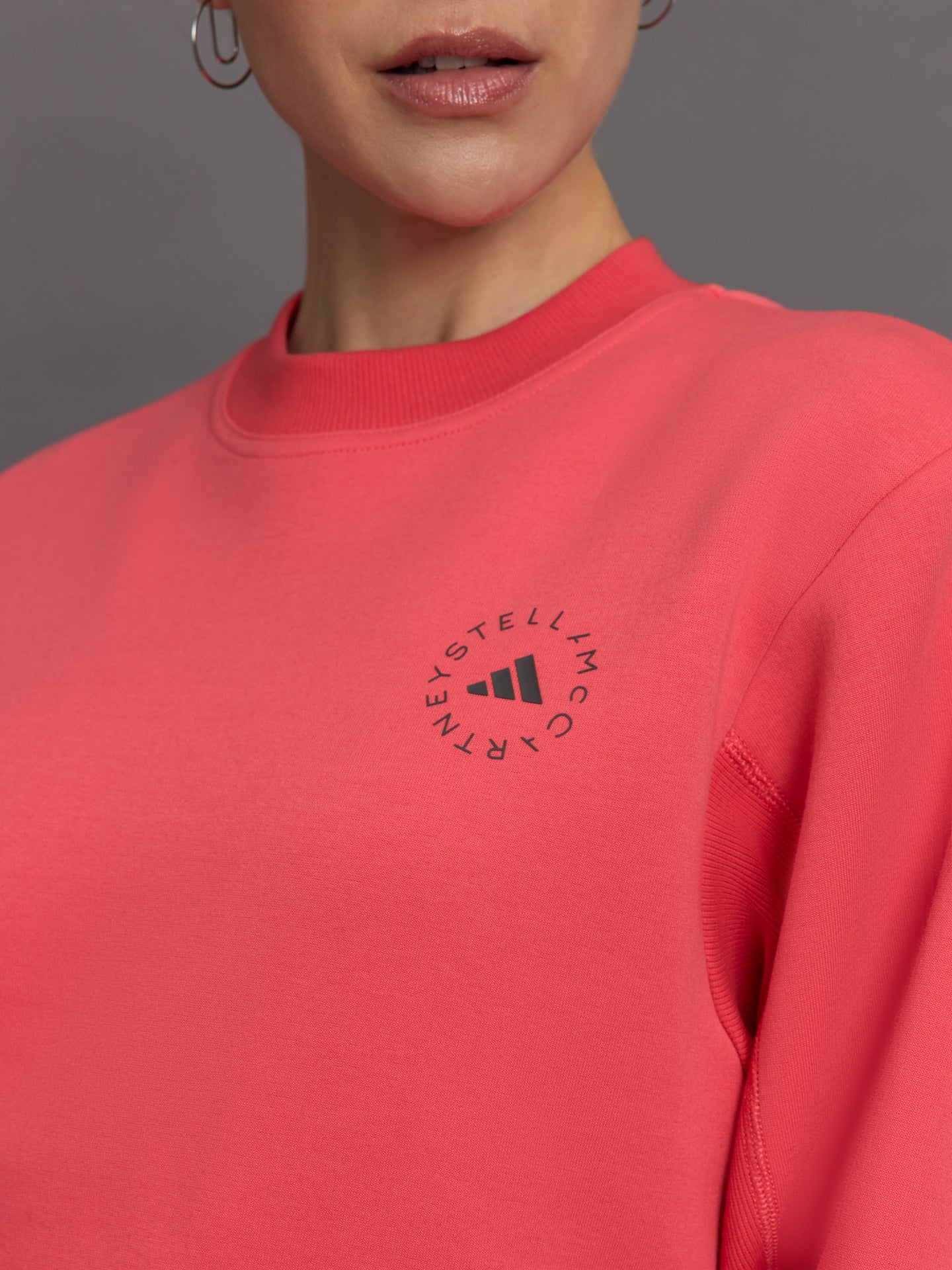 aSMC Reg Sweatshirt - Corpnk - Image 5